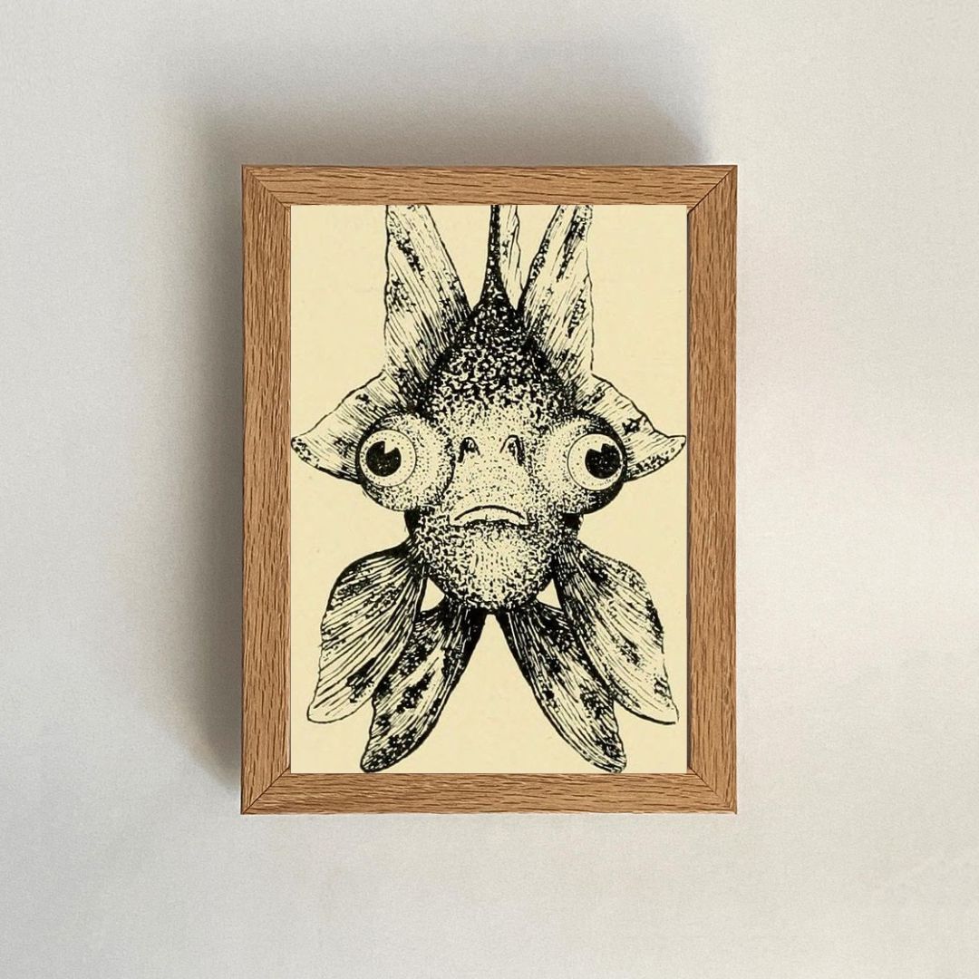 Poisson